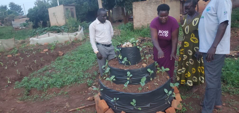 Monitoring of the Tower gardening