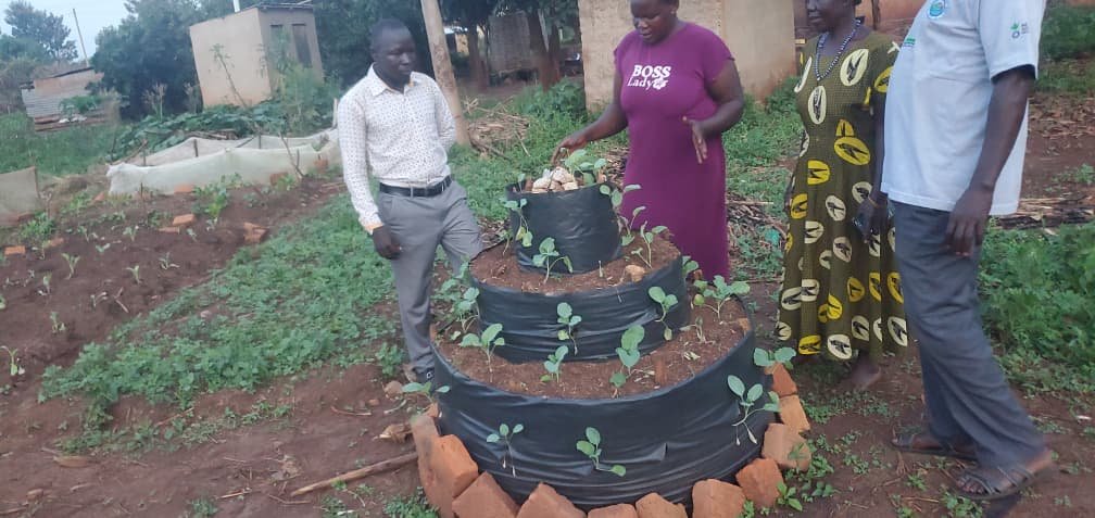 Monitoring of the Tower gardening