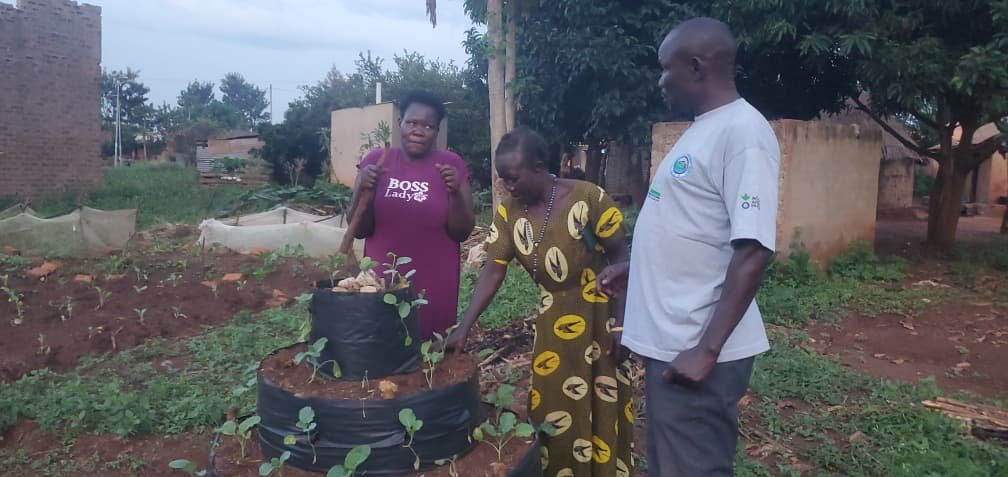 Monitoring of the Tower gardening