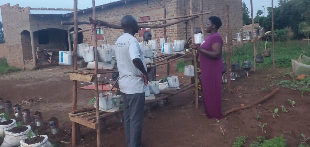 Vertical garden arrangement