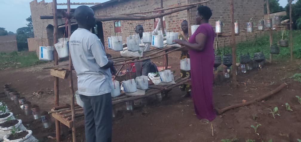 Vertical garden arrangement