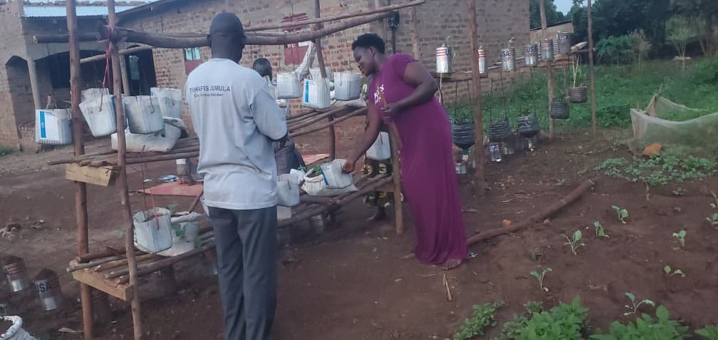 Vertical garden arrangement